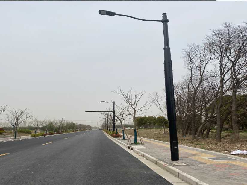 漳县上海综合杆 太阳能路灯工程